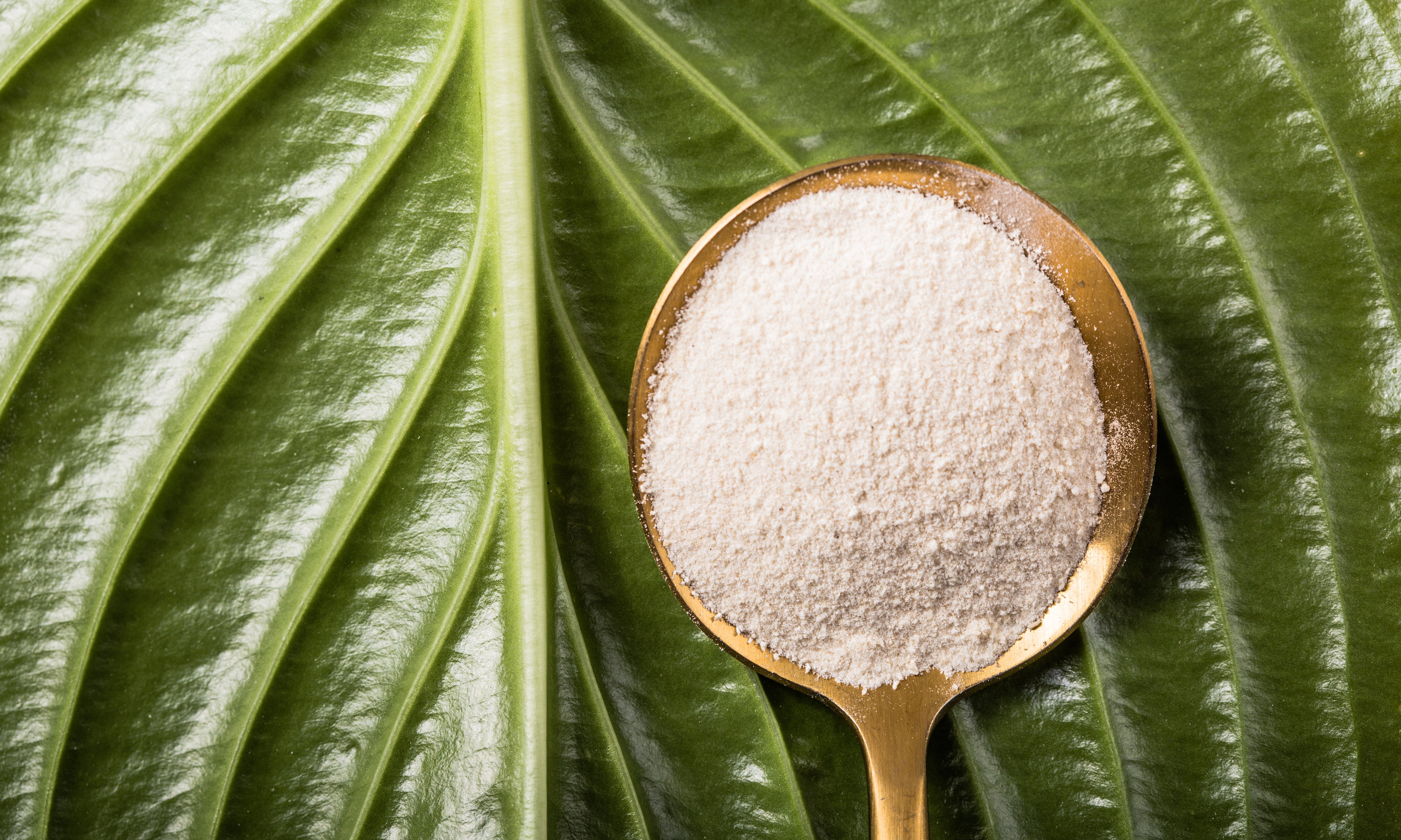 Adaptogens and their role in athletic performance